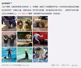 盈江新闻爆料事件视频完整版,视频完整版揭露惊人真相 第3张 盈江新闻爆料事件视频完整版,视频完整版揭露惊人真相 第3张