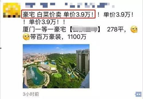 厦门楼市 爆料最新消息,揭秘热点区域价格走势与政策动向